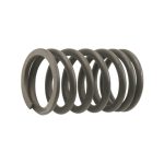 RESORTE EXTERNO DE VALVULA