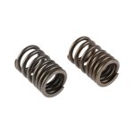 RESORTE EXTERNO VALVULA