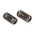 RESORTE INTERNO VALVULA